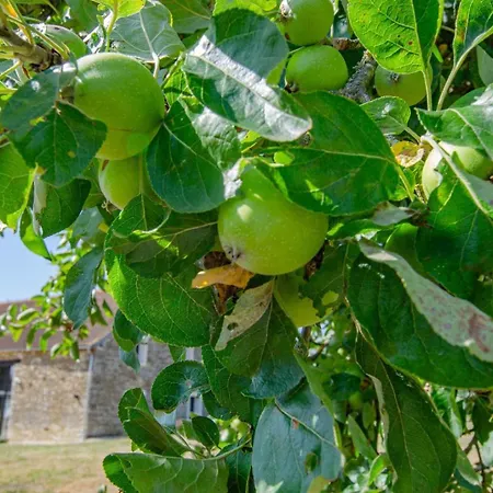 Les Ancetres Villiers-sous-Praslin