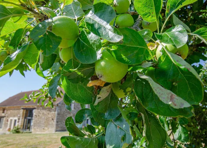 Les Ancetres Villiers-sous-Praslin